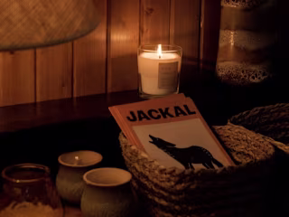 Jackal - Navan