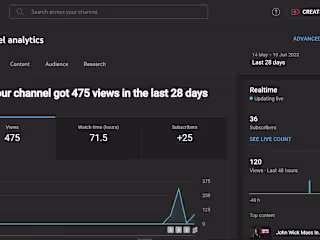 Social media growth statistics of a client