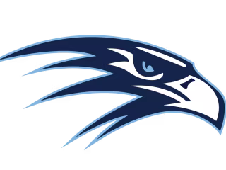 Custom Logo