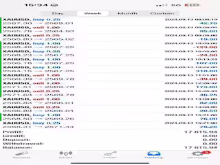 I will deliver profitable forex trading robot, forex trading bot
