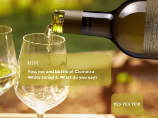 Content Creation: Wine Edition