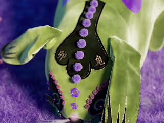 Year of the Rabbit
