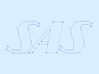 Design for Scandinavian Airlines