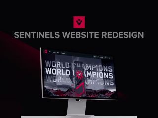 Sentinels landing page redesign
