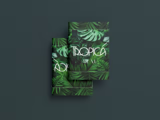 Brochure Design  