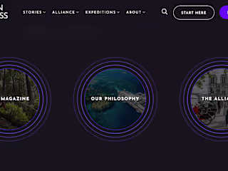 Award Winning Web Build