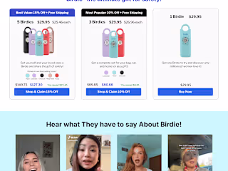 Landing Page Develop In Instant For Meet Birdie