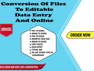 I will do dataentry,convert, image to word, PDF to word, rewrite
