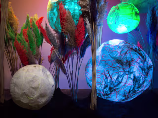 Great Lakes artists repurposing trash for art