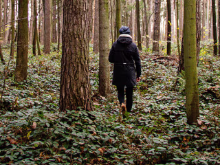 Biodiversity and Conservation Management Master’s Degree Takes …