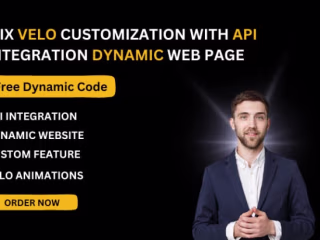 I will wix studio website with velo custom code, api integration