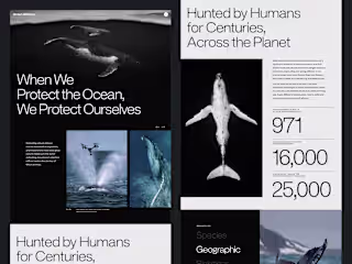 Web Design Gallery