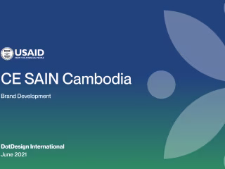 Branding - CE SAIN by USAID - Branding 