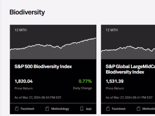 Biodiversity 