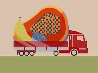 Vibrant Journey: Concept Illustration for Fruit Transport Compan
