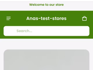 Anas Store