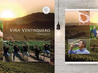 Viña Ventisquero