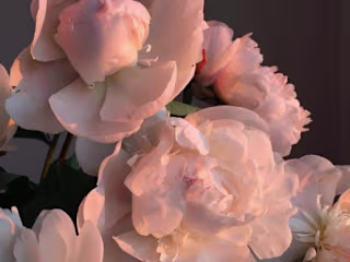 The Morning Dance (Substack post)