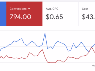 Scaled luxury stroller brand on Meta and Google Ads