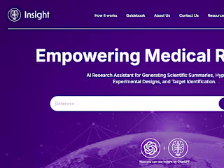 Insight: AI Developer