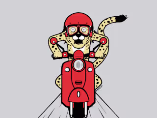 Cheetah on a Scooter