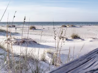 Mississippi Beaches Not to Miss!