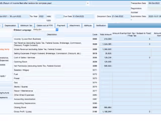 Income Tax Return
