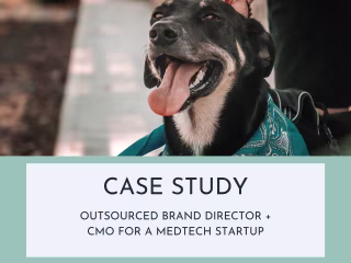 Outsourced Brand & Marketing Director