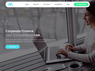 Corporate Finance | MegaOne