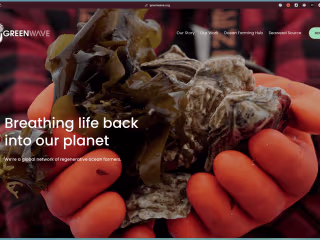 Brand & Website redesign for mission driven, climate nonprofit