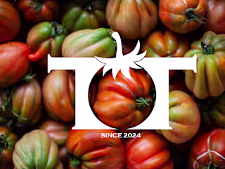 TOMATO TALK | Logo & Visual Identity 