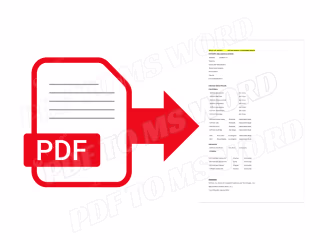 PDF TO MS WORD