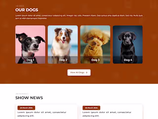 Website redesign and Landing page Design