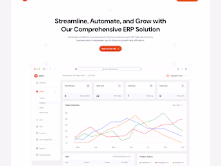 Doice ERP Landing Page - Framer Development