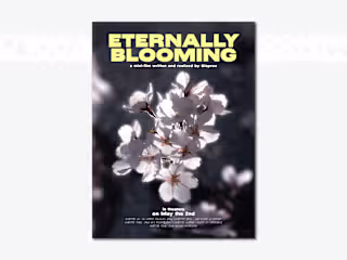 Poster for a mini-series launch