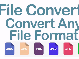 I will convert your files