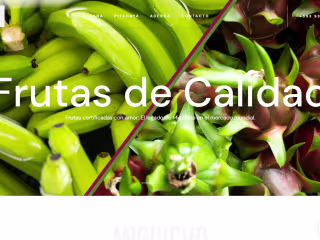 Miguicho Web