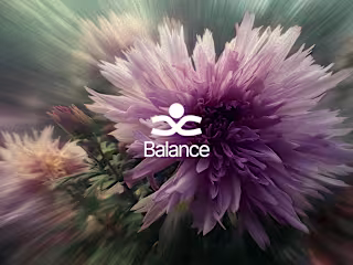 Balance — Logo, Brand & 3D Mockup Creation