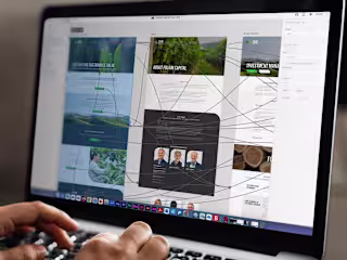 Brand & Web ReDesign