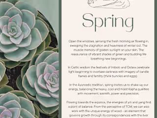 Ebook | Lead Magnet