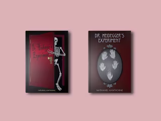 DR. HEIDEGGER'S EXPERIMENT BOOK COVERS