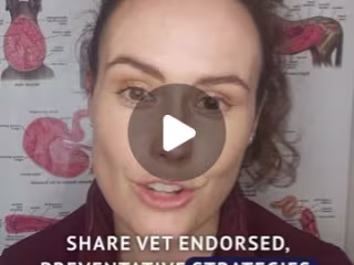 Dr. Lizzie McCready Webinar: “How to Prevent & Manage Colic"