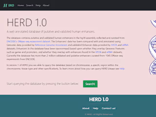 HERD 1.0z