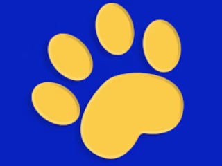 Web Designer and E-commerce Assistance for PetTest by Advocate 
