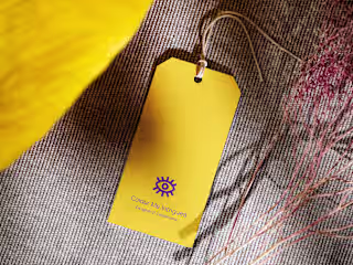 Colour Me Intrigued - Brand Presentation
