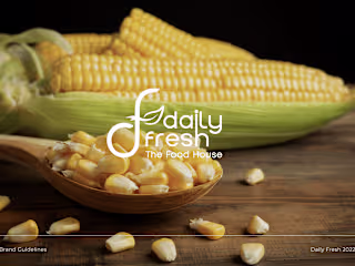 Daily Fresh Brand Guideline on Behance
