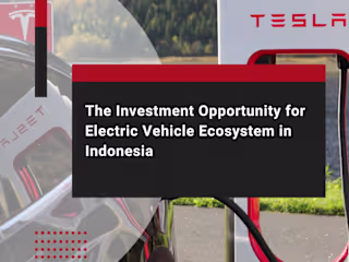 The Investment Opportunity for an Electric Vehicle Ecosystem