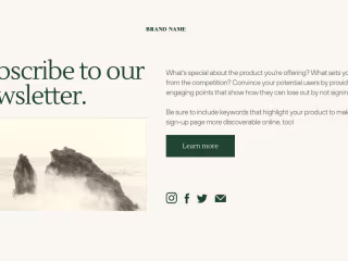 Sample Branding / Newsletter Design 