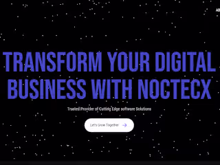 Noctecx AI - Digital Marketing Agency