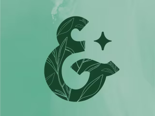 Salt & Sage Nutrition Brand Re-design